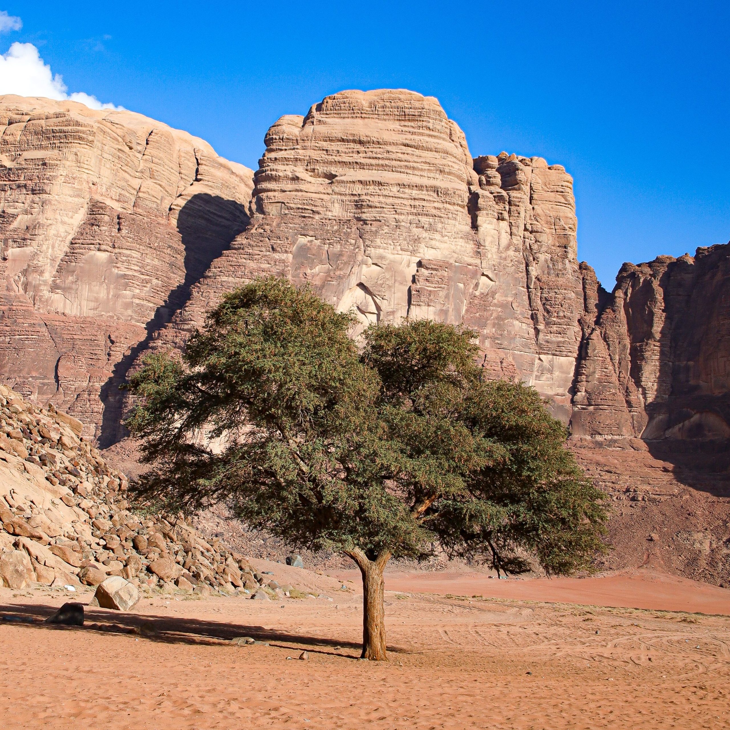 Lawrence-spring-wadi-rum