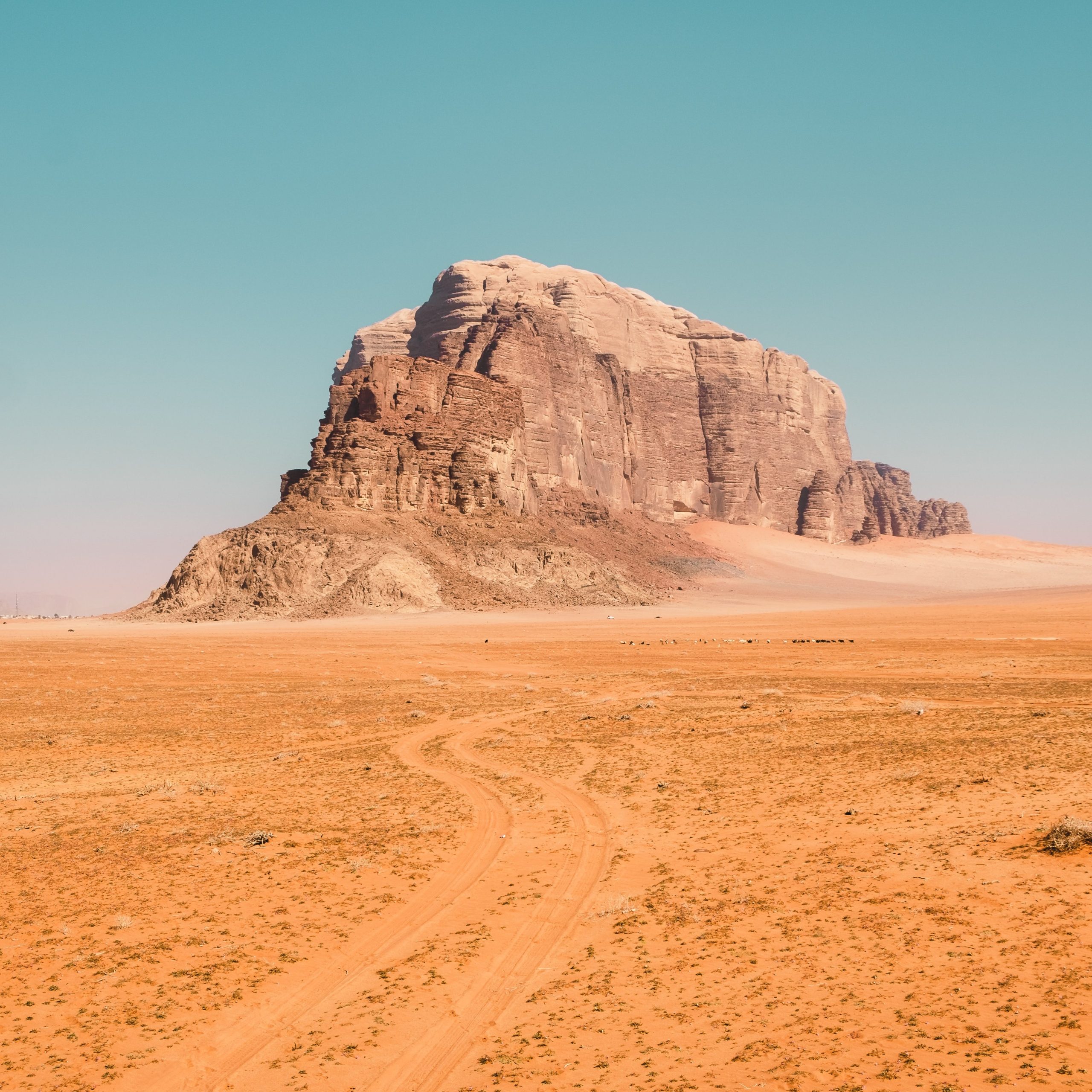 andrea-leopardi-nwROzyFBB64-unsplash-1