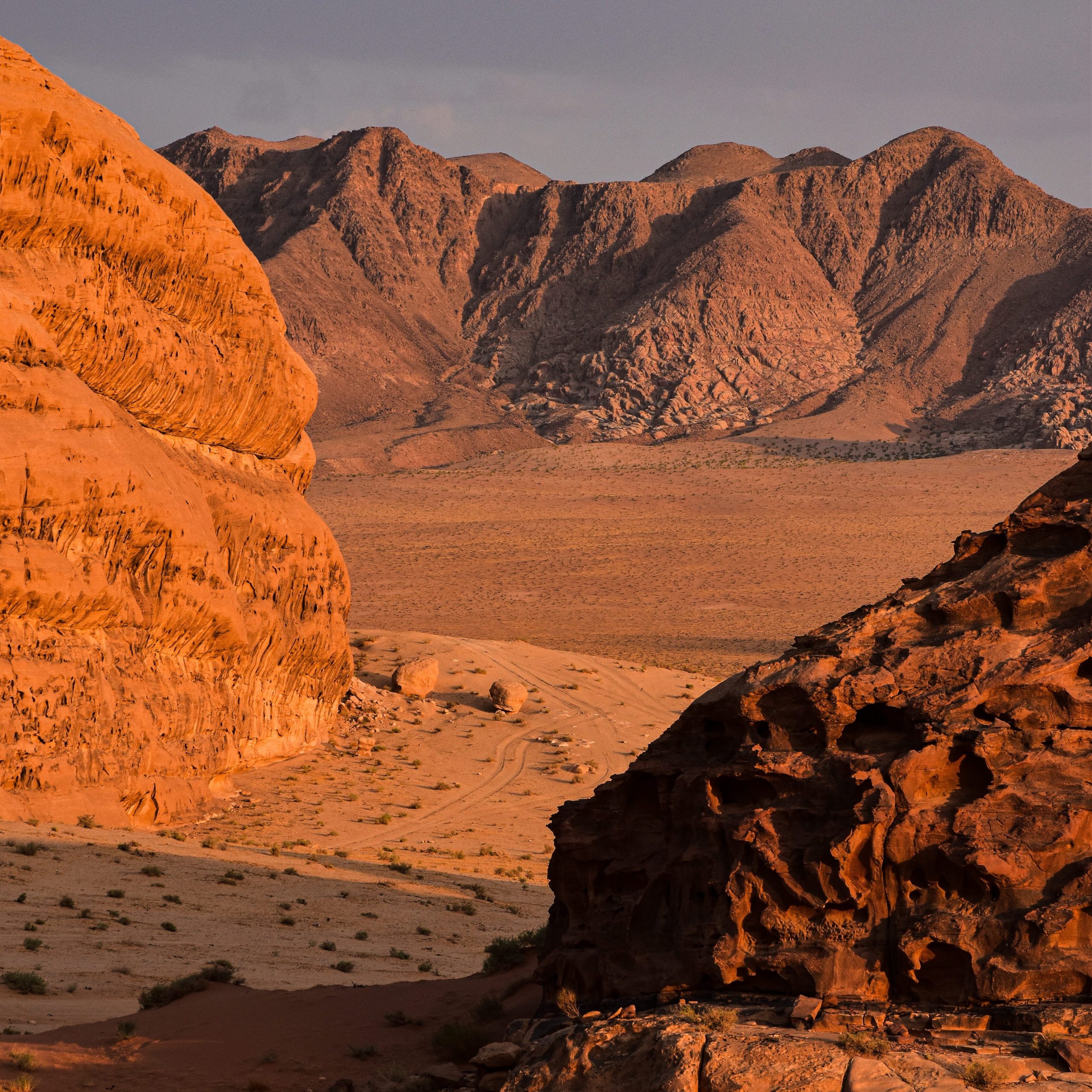 pexels-axp-photography-18717298